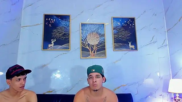 Dhante_23cm webcam