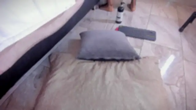 babepolly webcam
