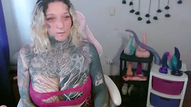 SLOPPYTITSS webcam