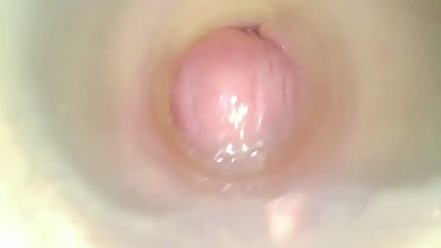 karol_stom webcam