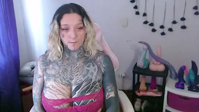 SLOPPYTITSS webcam