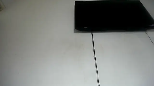 Fox_Loves webcam