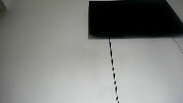 Fox_Loves webcam