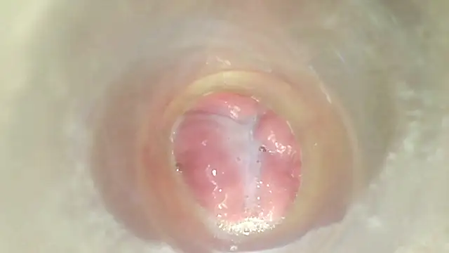 karol_stom webcam