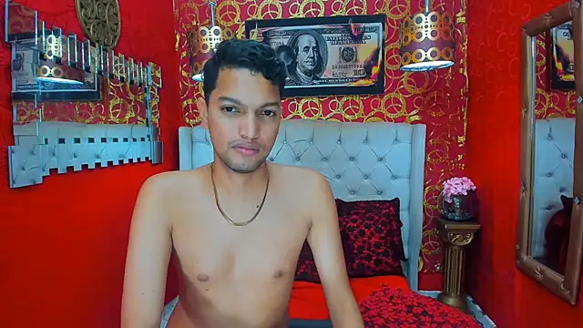 PEINBOYS webcam