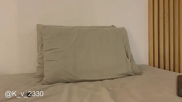 sofiesoft webcam