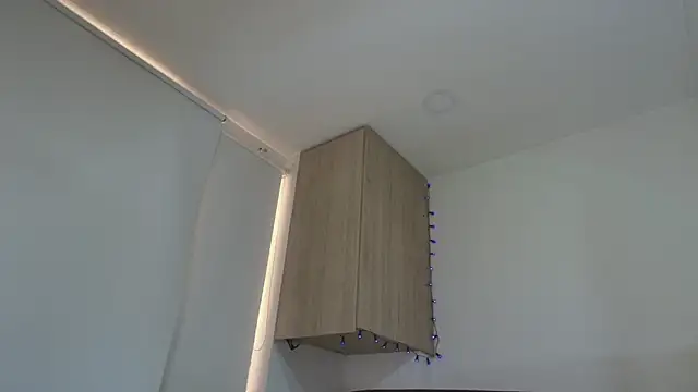 Charlotte11-11 webcam