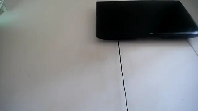 Fox_Loves
