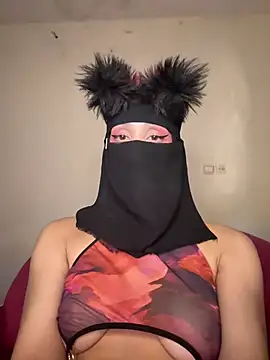 arabayla webcam