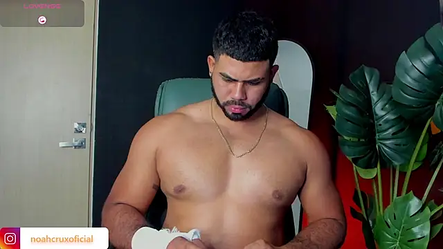 noahcrux_ webcam
