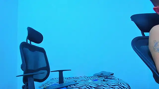 Thomas-Wil webcam