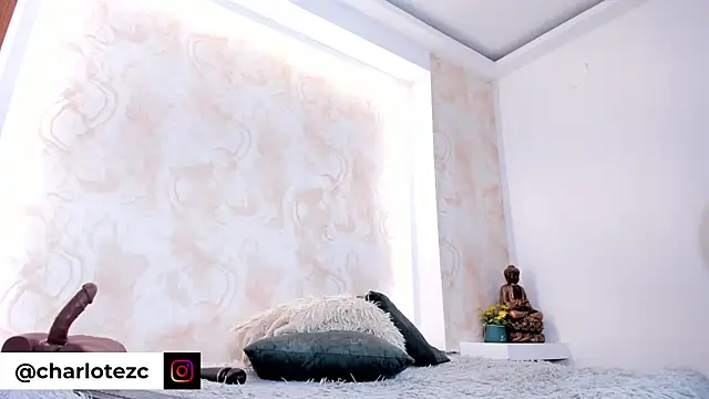Charlote_zc webcam