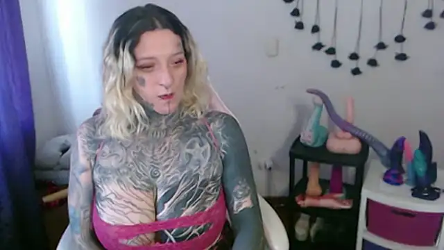 SLOPPYTITSS webcam