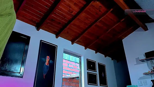 SilvaBranko webcam