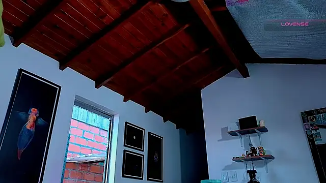 SilvaBranko webcam