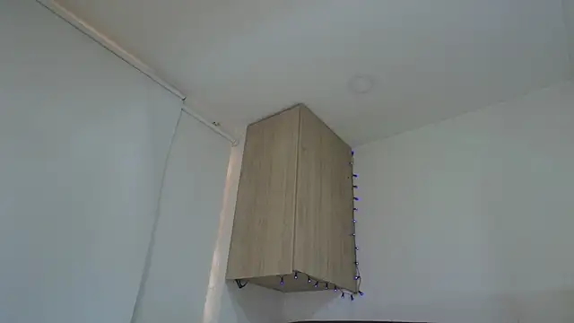 Charlotte11-11 webcam