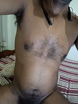 SL-Robinsan webcam