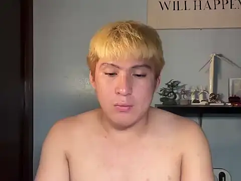 Kingdirtyfog webcam