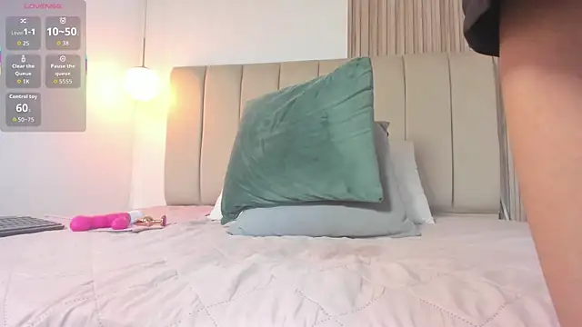 EvaaSinclair webcam