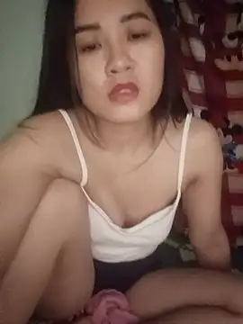 PIVI-12 webcam
