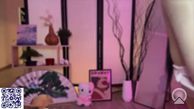 secrettape webcam
