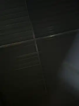 LH-7 webcam