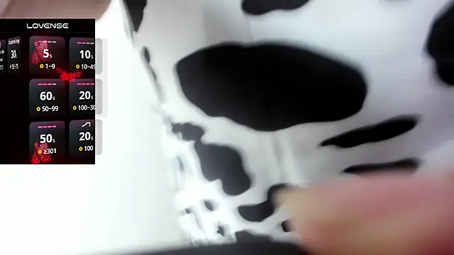 ReyleDoll webcam