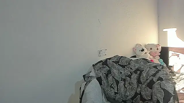 Eirlysx webcam