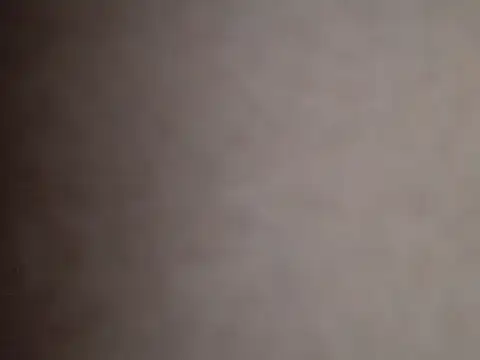 assRider21cm webcam