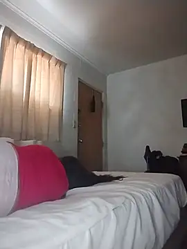 THEBEDroomdoOR webcam