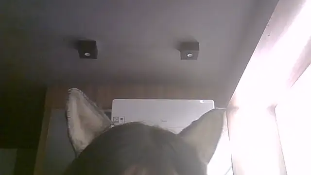 SkinnyKitten webcam