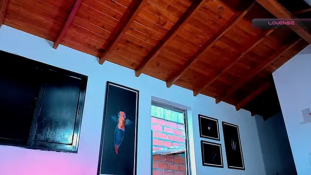 SilvaBranko webcam