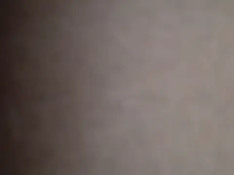 assRider21cm webcam
