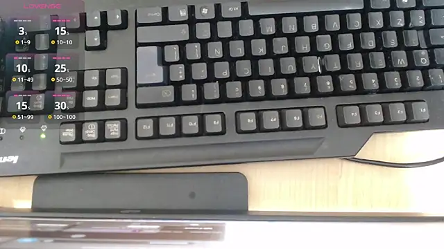 palmer_mIix webcam
