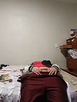 Trixtbang webcam