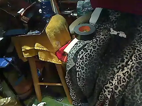 Dreamzluvz2 webcam