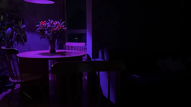 illaroom webcam