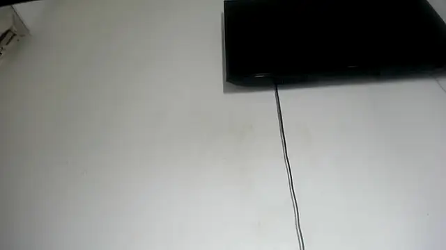 Fox_Loves webcam