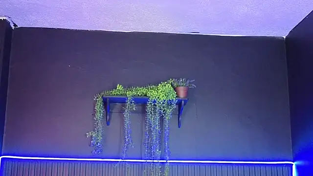 sasi_luna webcam