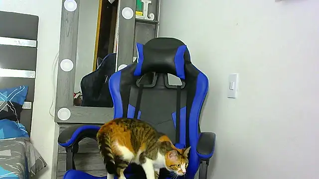jack-tock webcam