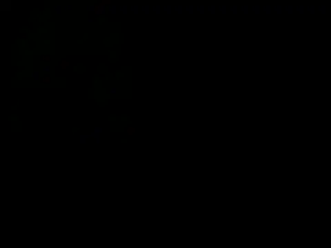 latinound webcam