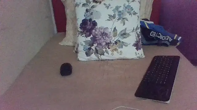 st206boy webcam