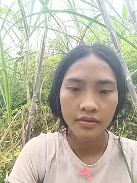 Hoa-tuylip