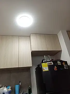 Ary- webcam