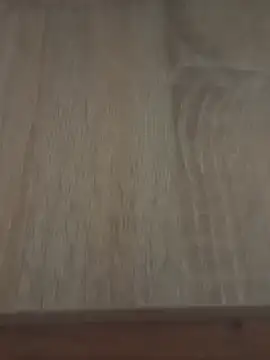 assRider21cm webcam
