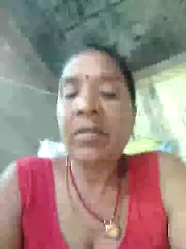 Loomaraj webcam