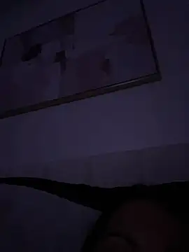 auds08 webcam