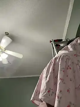 Controllercutie webcam