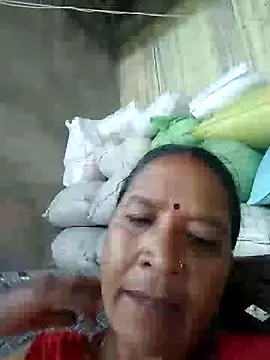 Loomaraj webcam