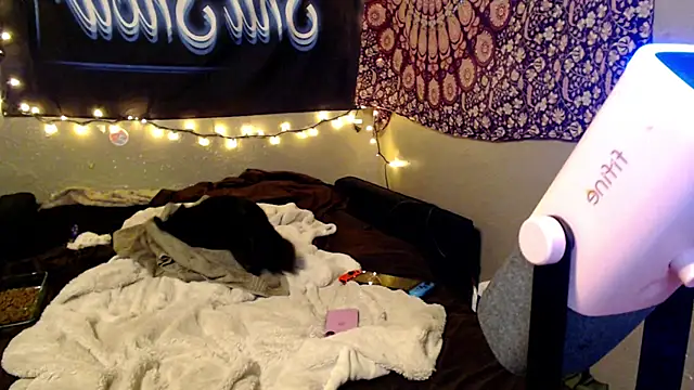 London_Ray webcam